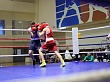 В феврале в Увате пройдет Первенство Уральского федерального округа по боксу среди юношей